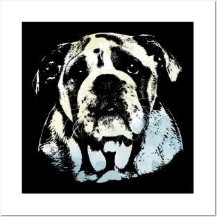 Cute English Bulldog Puppy Posters and Art